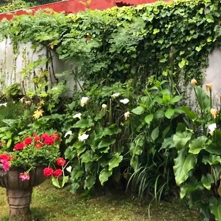 Doma Etxea Donostia-san Sebastian Ess02683